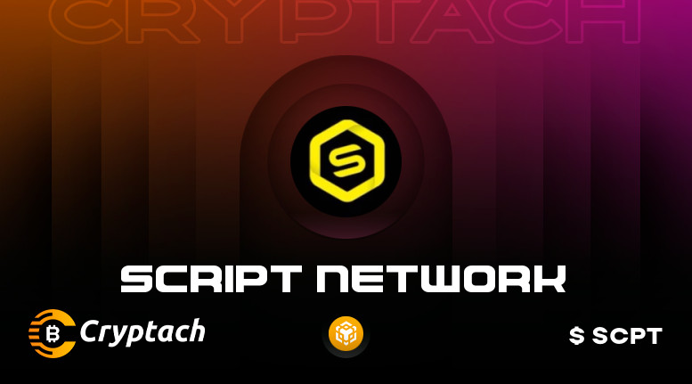Script Network