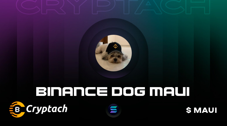 BINANCE DOG MAUI